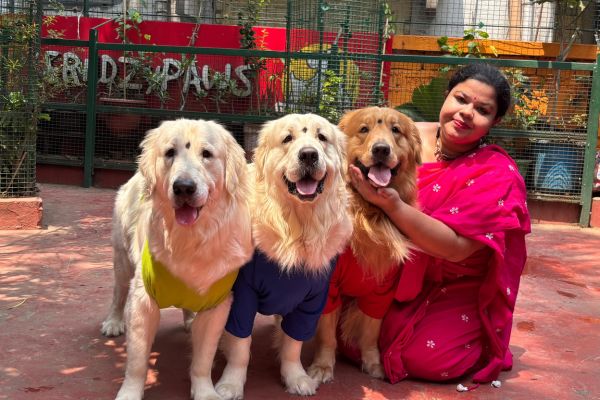 Frndz4Paws groomer with dogs