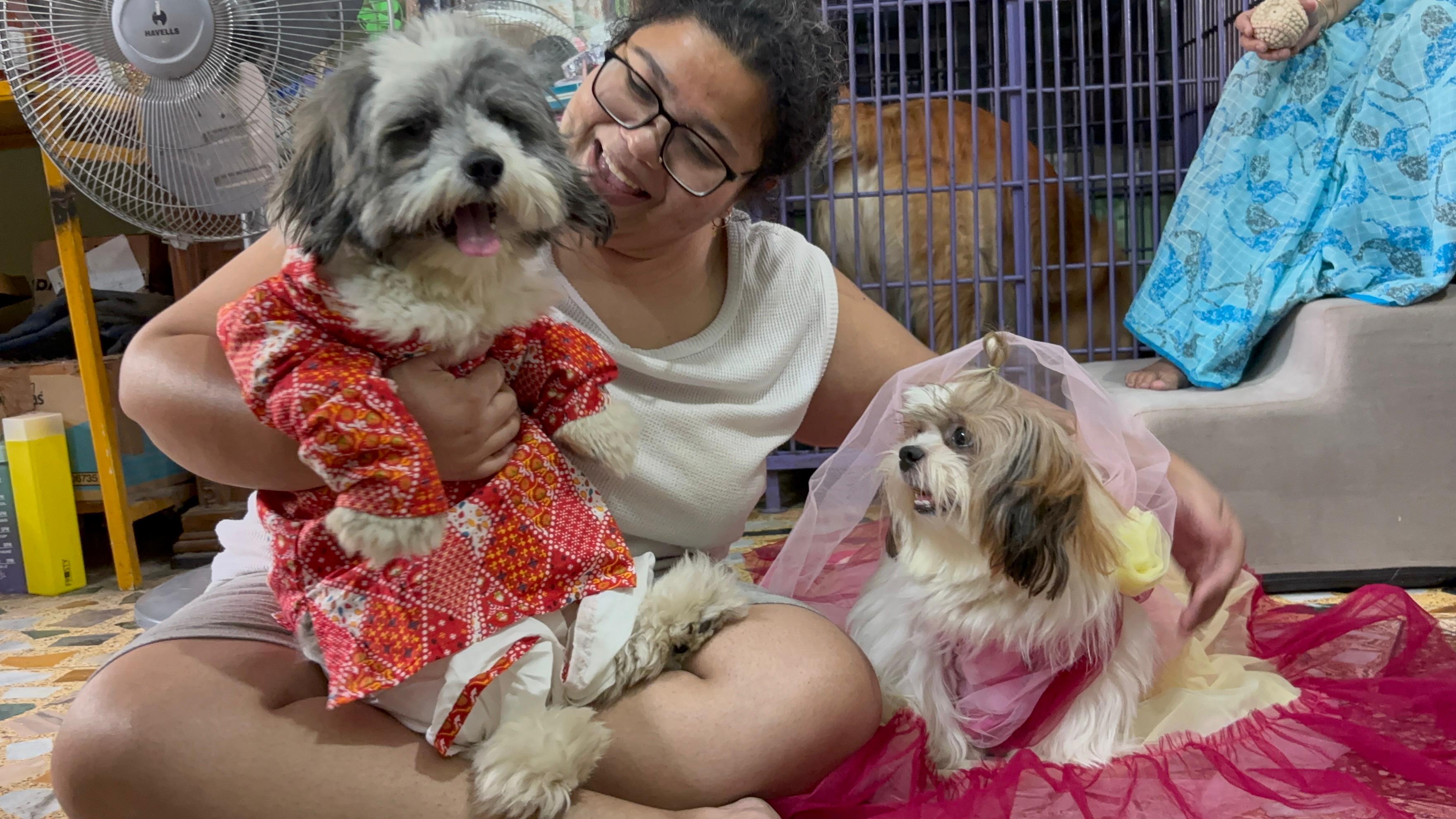 Staff member playing dress-up with two pups at Frndz4Paws day care