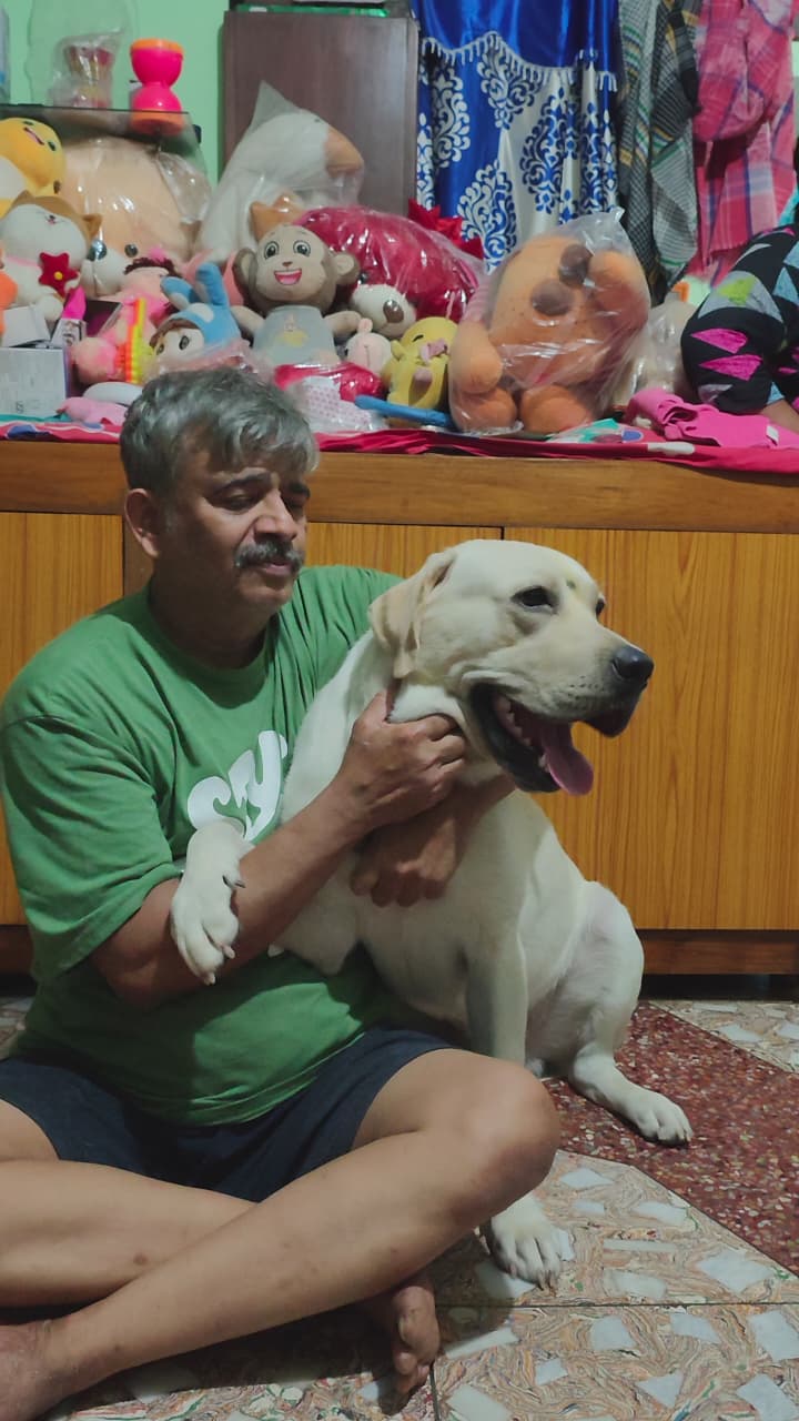 Dogs having fun in the playroom at Frndz4Paws day care