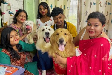 Golden Retriever in royal festival costume