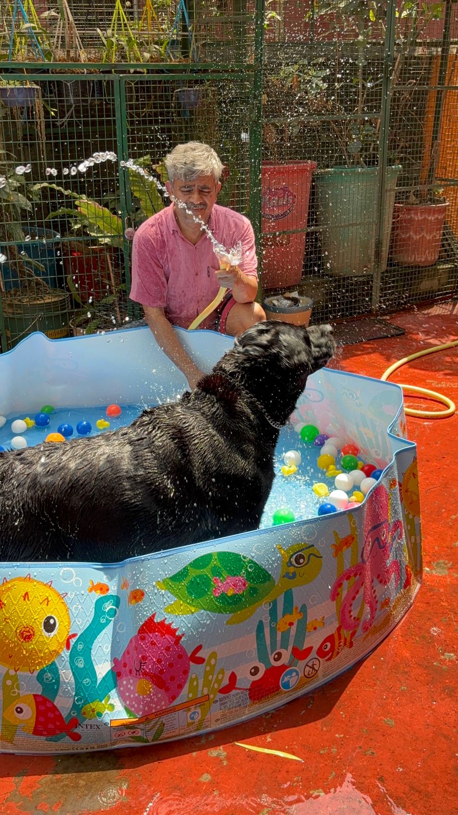 Staff hosing down a dog playing with balls in the splash pool at Frndz4Paws
